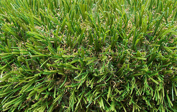 Riviera Turf Artificial Grass Blade Closeup